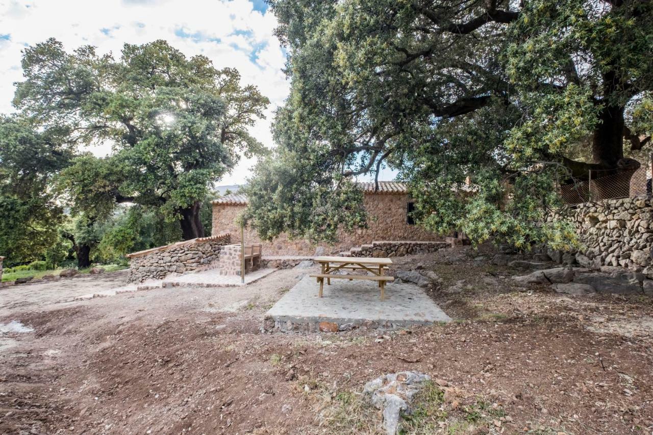 Agroturismo Son Alzines リュック エクステリア 写真