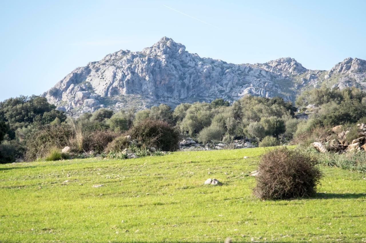 Agroturismo Son Alzines リュック エクステリア 写真